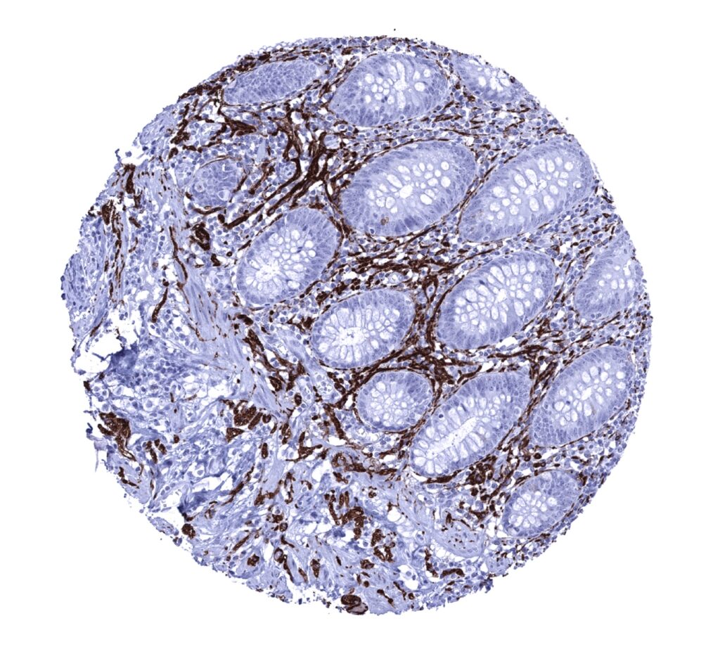 cd0564