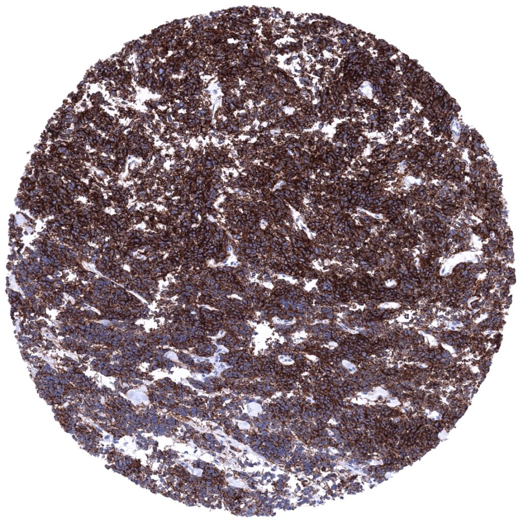 cd0564