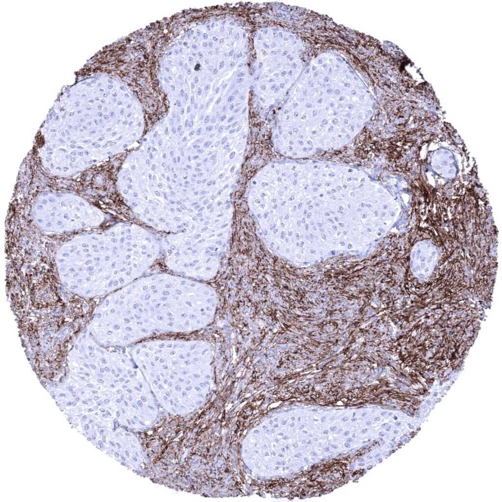 cd0564